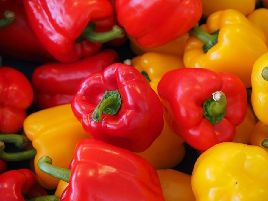 SWEET PEPPER