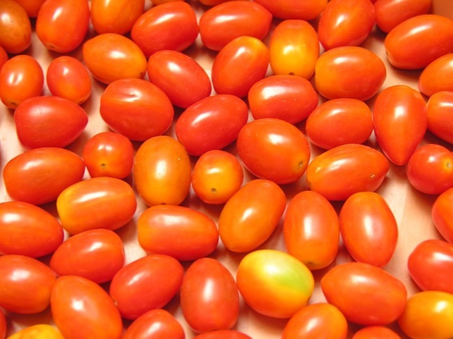 CHERRY TOMATO